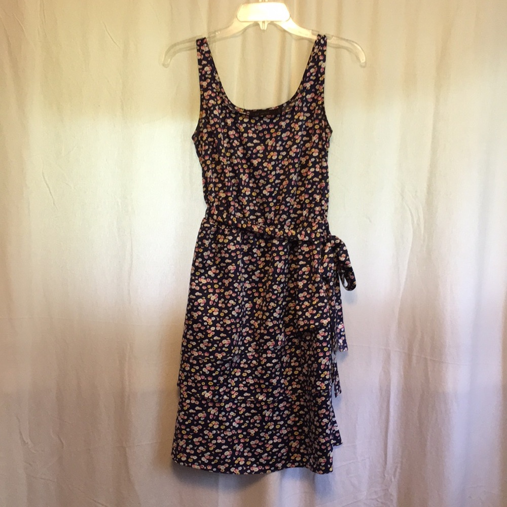 The Limited ruffled skirt dress